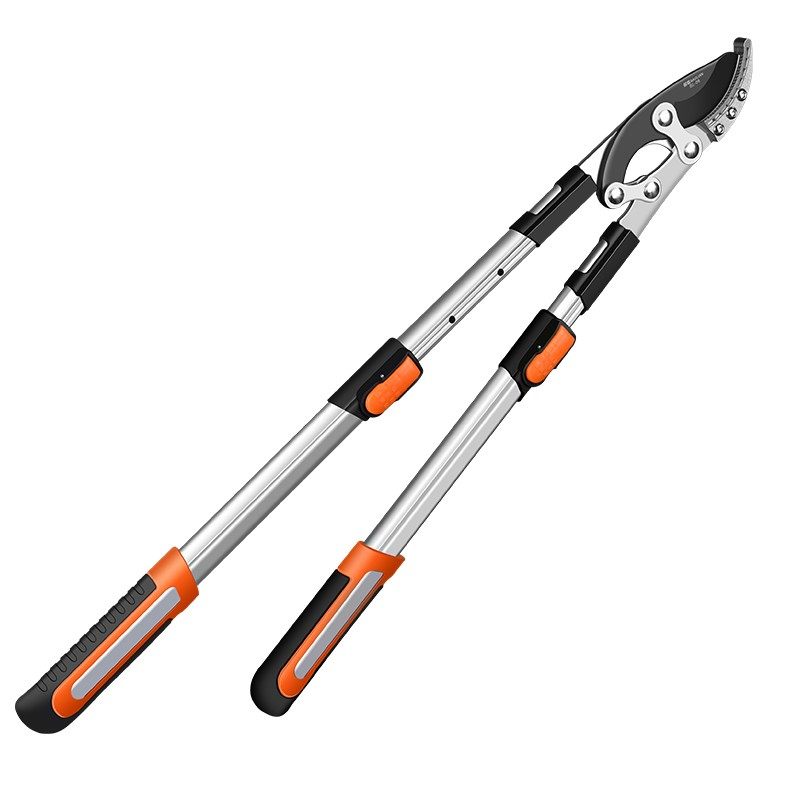 园艺粗枝剪大力剪枝果树修枝修剪树枝省力园林枝剪花剪强力大剪刀