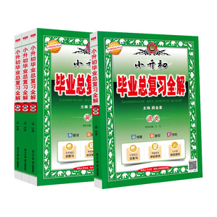 2026小升初毕业总复习全解语文数学英语科学全套薛金星人教版教材全解小学升初中系统总复习专项资料六年级下册小升初必刷题练习册