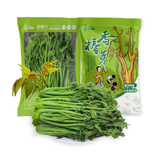 九棵树香椿芽咸菜河南特产新鲜腌制香椿头下饭菜250g酱菜