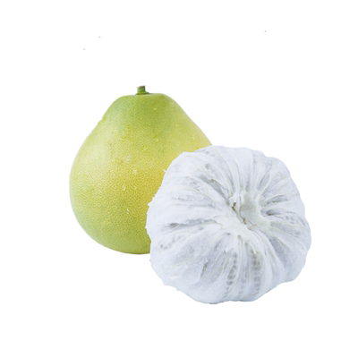 湖南安江冰糖柚现摘现发脆甜多汁