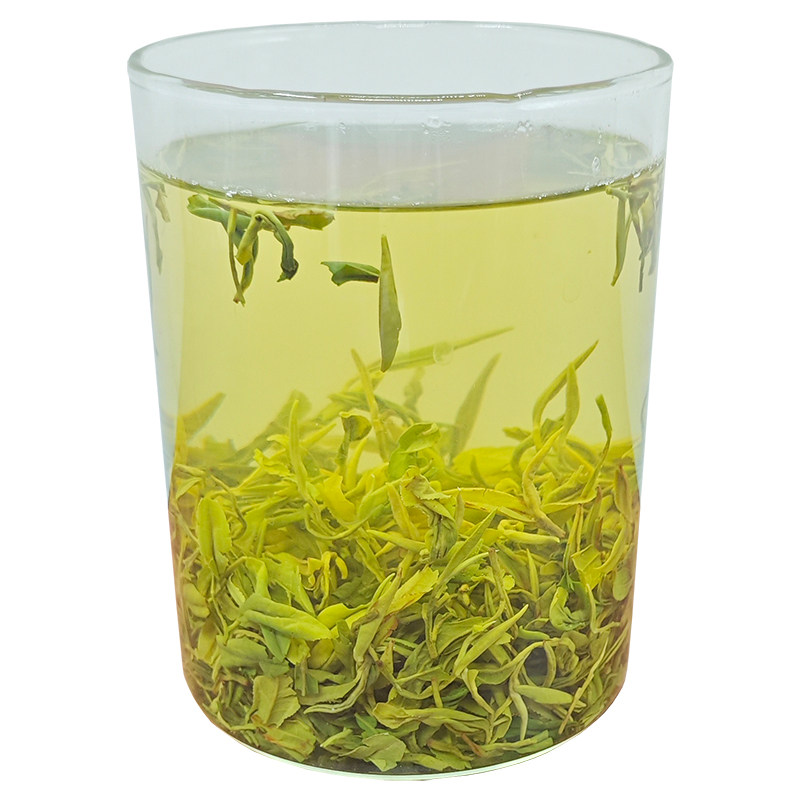 两车日照绿茶明前特级春茶新茶叶