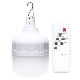 灯笼专用灯泡无线临时照明灯地摊智能充电LED灯泡充电带遥控灯泡