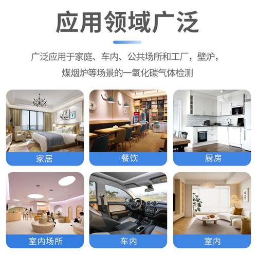 外贸款便携式野外CO温湿度报警器三合一车库中毒露营防检测仪