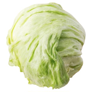 【槿馐】球生菜500g 西生菜圆生菜结球生菜新鲜蔬菜汉堡沙拉食材