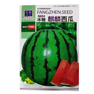 蔬菜种子大全粉丝特惠四季适播西瓜甜瓜黄瓜番茄家庭阳台露天种植