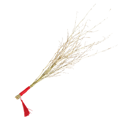 家用天然细软提手鞭子竹枝