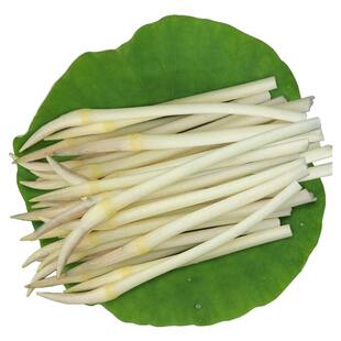 苦茽芯 新鲜藕带嫩藕尖湖北洪湖现挖现摘农家蔬菜当季莲藕肠苫簪