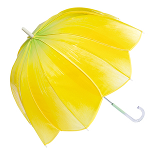 wpc透明雨伞大号加厚长柄伞网红郁金香花瓣伞抗风果冻伞高颜值女