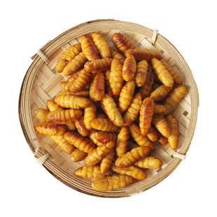 新鲜金丝蚕蛹2025年活体速冻蚕蛹冷冻山东特产商用顺丰包邮蚕蛹子