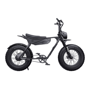 Polyride新款P1Ultra城市出行通勤越野减震胖胎电助力电动自行车