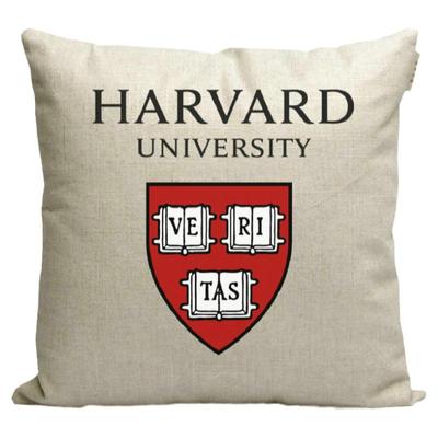 国外大学周边抱枕定制靠垫PP棉