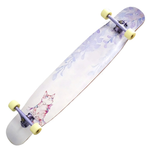 Rebirth meow专业长板喵板紫喵轻弹刷街DC刷街代步男女初学者滑板