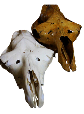 西藏特色真骆驼头骨装饰摆件送礼