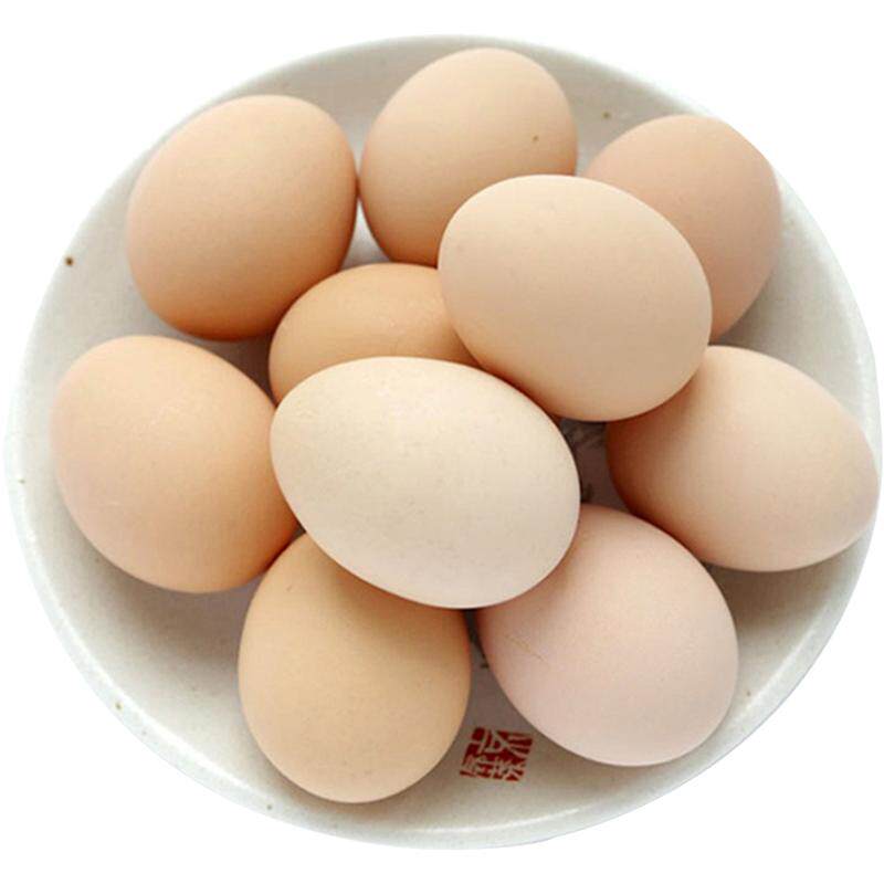 田园居AAA级谷物喂养鸡蛋45g