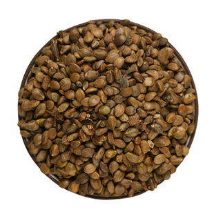 丹参苗新丹参种子中药材益母草丹参红花种籽四季种植苗红血参种孑