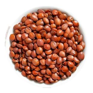 正宗酸枣仁炒熟500g女性睡眠山枣仁粉特级野生安神助眠百合茯苓茶