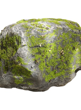 造景仿真青苔石橱窗生态雨林搭配