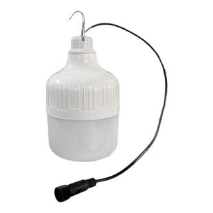 太阳能单灯泡6V专用LED灯泡太阳能发电系统DC插头5521头灯泡