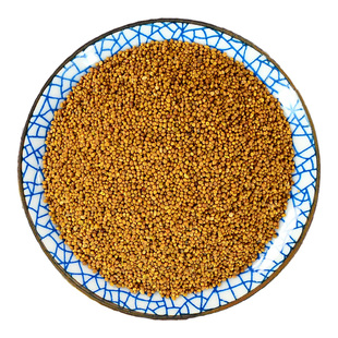 菟丝子中药材小药仙正品内蒙菟丝籽兔丝子吐丝子非野生盐炒萝丝子