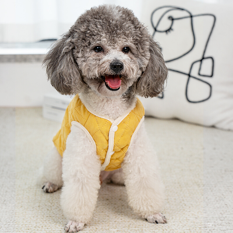 狗狗衣服秋冬款泰迪比熊背心小型犬冬季小狗棉马甲宠物棉衣雪纳瑞 宠物/宠物食品及用品 狗宠物服装/雨衣 原图主图