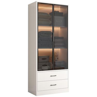 家用轻奢小户型现代玻璃门衣柜