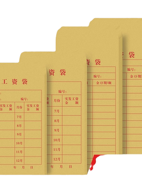 天色加厚100个多规格工资袋