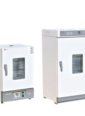 天津泰斯特WGL/WGLL系列实验室工业 300度烘箱电热恒温鼓风干燥箱