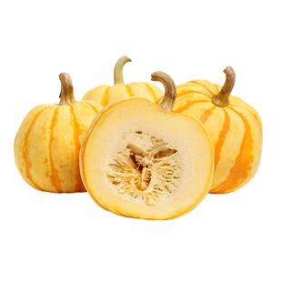 贝贝南瓜种子大全黄贝贝南瓜种籽粉面甜糯板栗绿贝贝迷你小南瓜籽