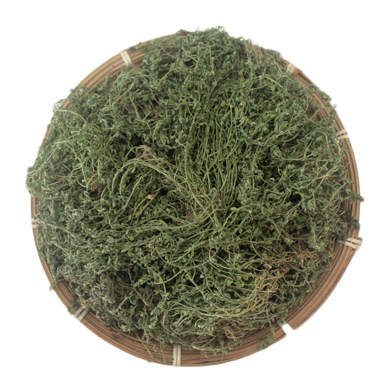 野生中药材新鲜鹅不食草