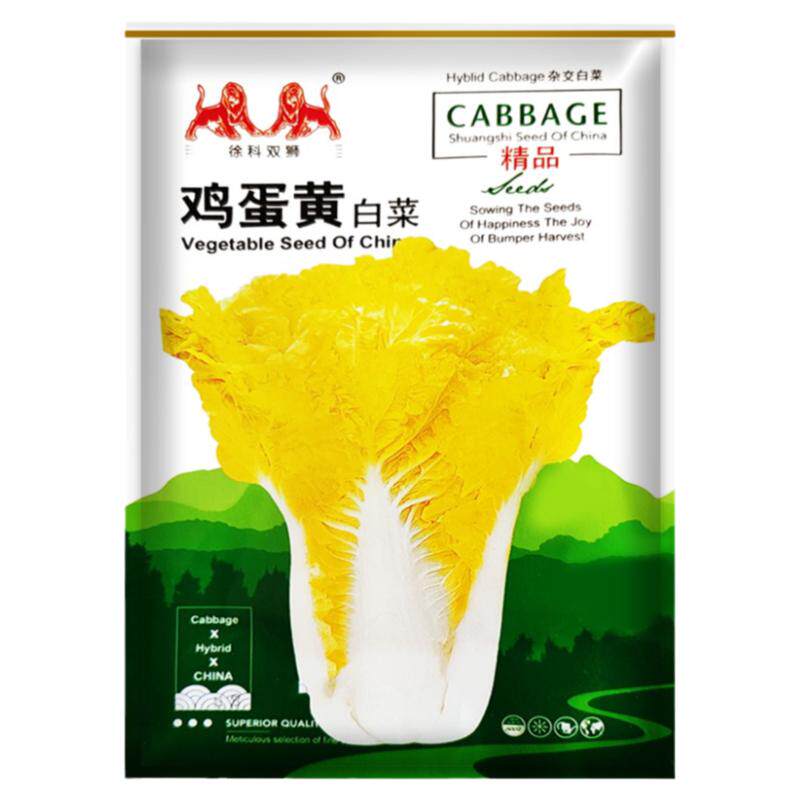 四季大白菜种子多色多品种可选