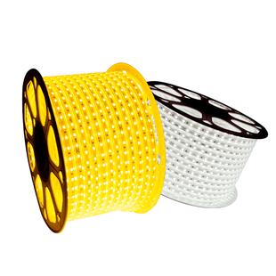 佛山照明客厅led灯带霓虹灯吊顶高亮软灯条照明柜台变色贴片220V