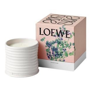 【新年礼物】LOEWE罗意威牛至系列产品香氛香薰蜡烛 植物小众