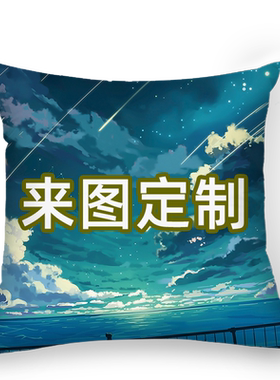 印照片抱枕来图定做高端羽丝绒