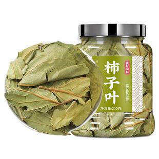 柿子叶500g中药材干货柿子叶茶泡水喝霜后整树叶新鲜霜打柿子叶粉