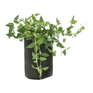 知根 仿真花草假叶子金银花叶 绿叶配草花插花材料配草 高仿真叶