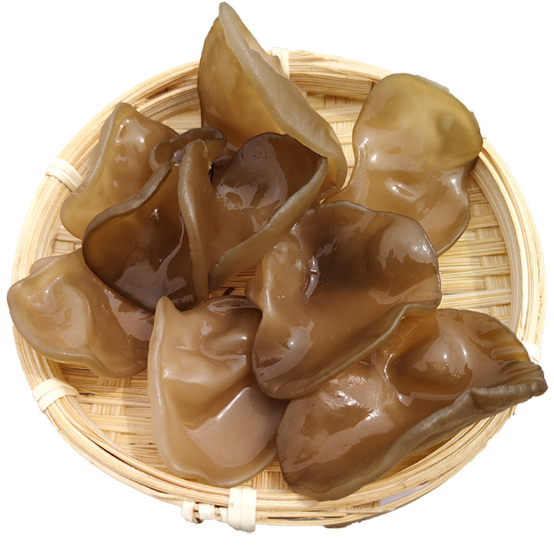 肉厚软糯木椴木耳适合老人吃