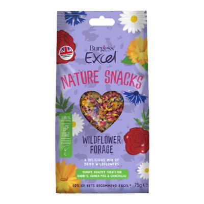 英国Burgess小宠零食健康花草