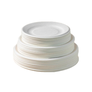 一次性纸盘子蛋糕餐具加厚可降解分手工绘画幼儿园烧烤圆形餐碟子