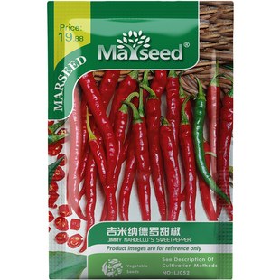 浓味醇厚吉米纳德罗甜椒长而薄皮蔬菜产量丰富菜园种子种苗A211