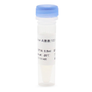 BIOSHARP LIFE SCIENCES白鲨BL1271A/BL1271B RNase A溶液(100 mg/mL) 0.5ml/支 1ml/支