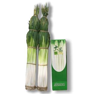 山东章丘大葱新鲜特级现挖正宗甜脆铁杆大葱特产蔬菜5斤香红葱头