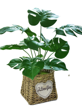 仿真植物龟背绿植桌面装饰花艺