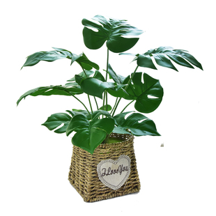 北欧仿真植物装饰摆件室内红掌绿植小盆栽客厅假花桌面盆景龟背竹