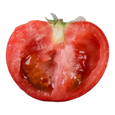 山东烟台海阳普罗旺斯西红柿现摘现发沙瓤小时候味道新鲜直达品质