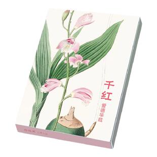 绘经典《千红》明信片爱德华兹绘 32张名家各种类花卉水彩画册集艺术小卡片手绘插画简约小清新文艺日系复古风生日贺卡创意礼物