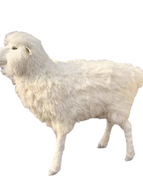 塑料招财田园展厅仿真绵羊山羊