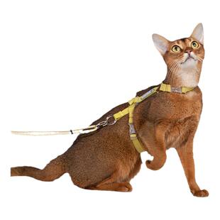 QZee HiDREAM啵啵猫胸背带套装可调节工字防挣脱背心式猫咪牵引绳