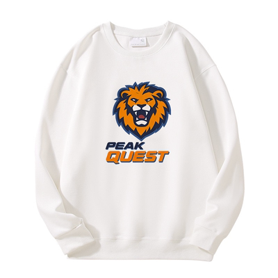 重磅卫衣男2025新款今年流行爆款美式青少年男生上衣潮流男款秋冬