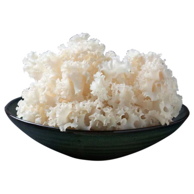野生新鲜绣球菌火锅食材500g