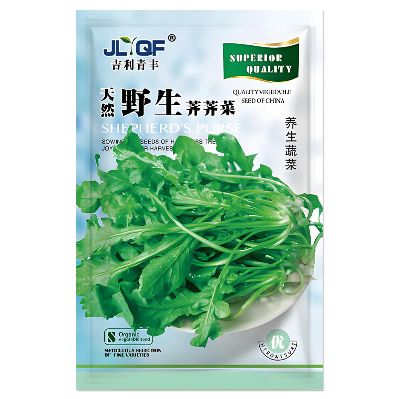 大叶荠荠菜种子野生食用
